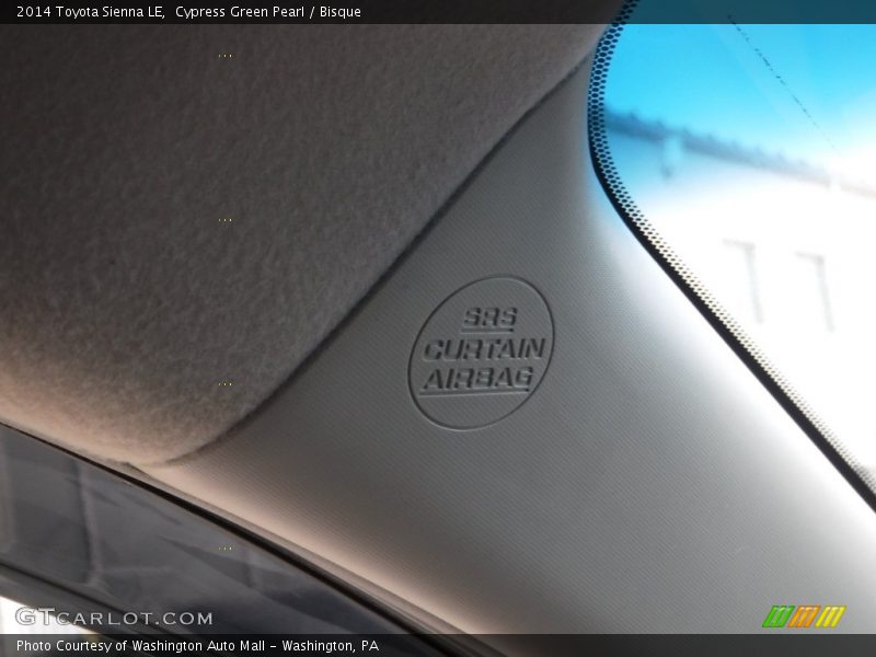 Cypress Green Pearl / Bisque 2014 Toyota Sienna LE