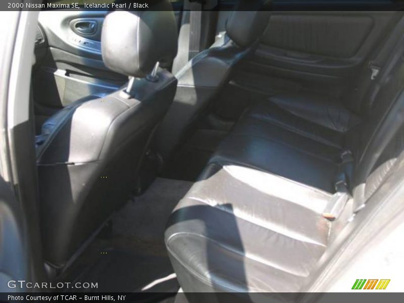 Icelandic Pearl / Black 2000 Nissan Maxima SE