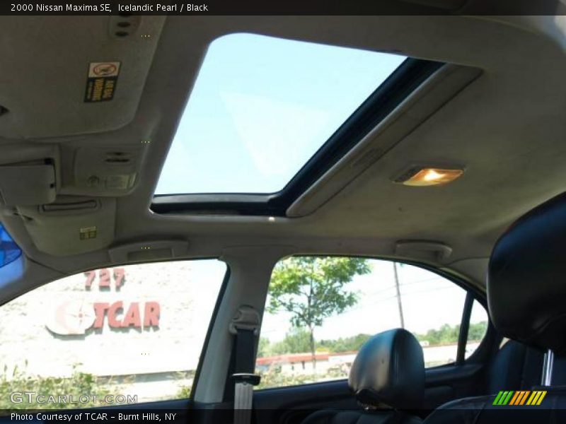 Icelandic Pearl / Black 2000 Nissan Maxima SE