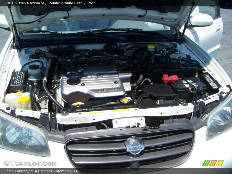 Icelandic White Pearl / Frost 2001 Nissan Maxima SE