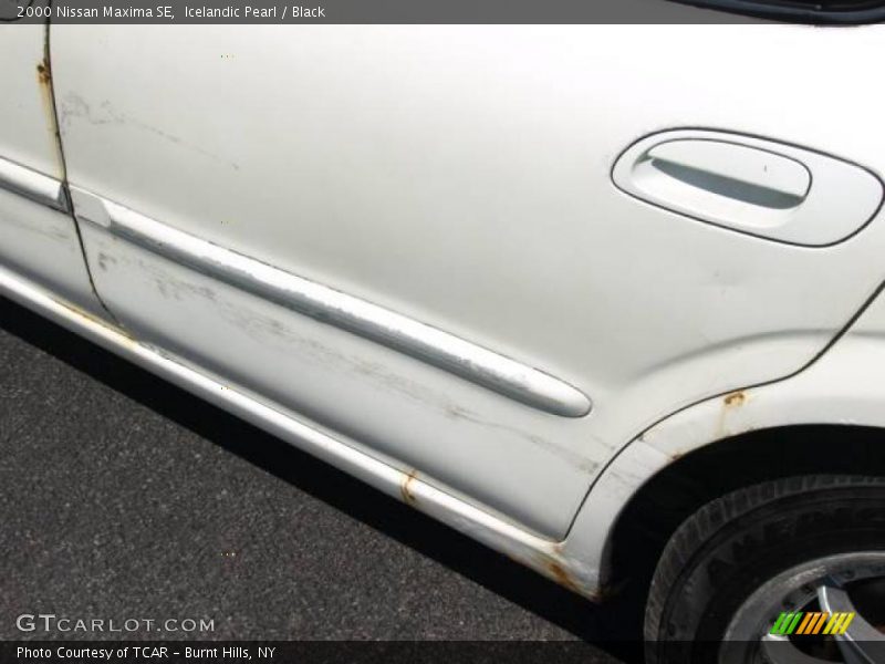 Icelandic Pearl / Black 2000 Nissan Maxima SE