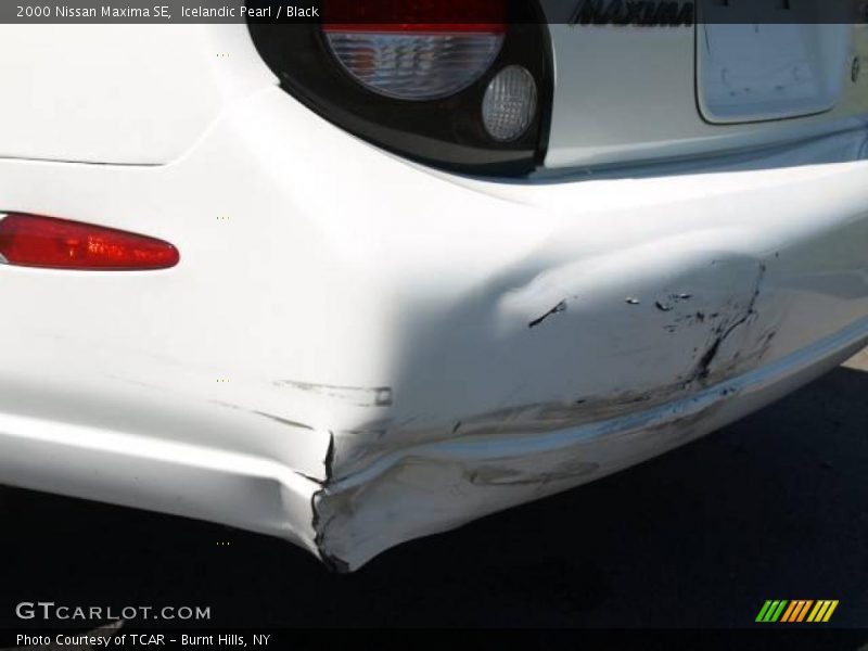 Icelandic Pearl / Black 2000 Nissan Maxima SE