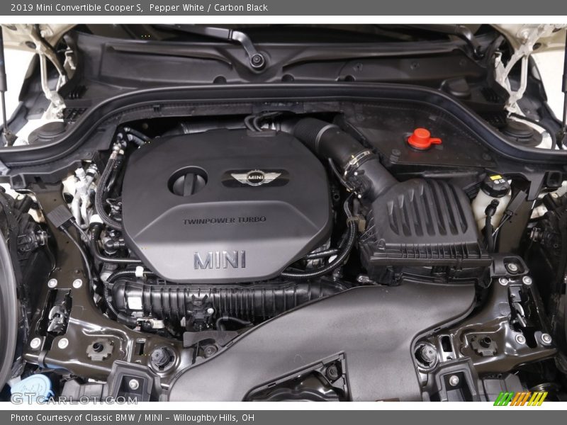 Pepper White / Carbon Black 2019 Mini Convertible Cooper S