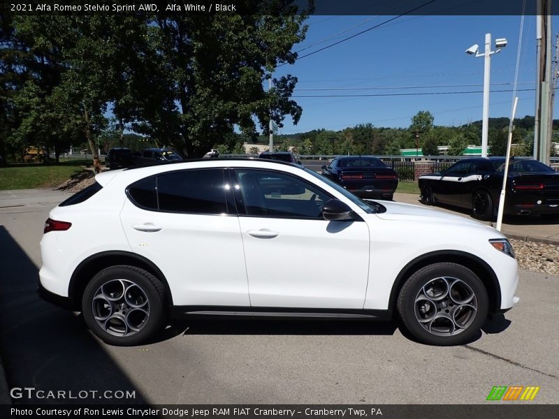  2021 Stelvio Sprint AWD Alfa White