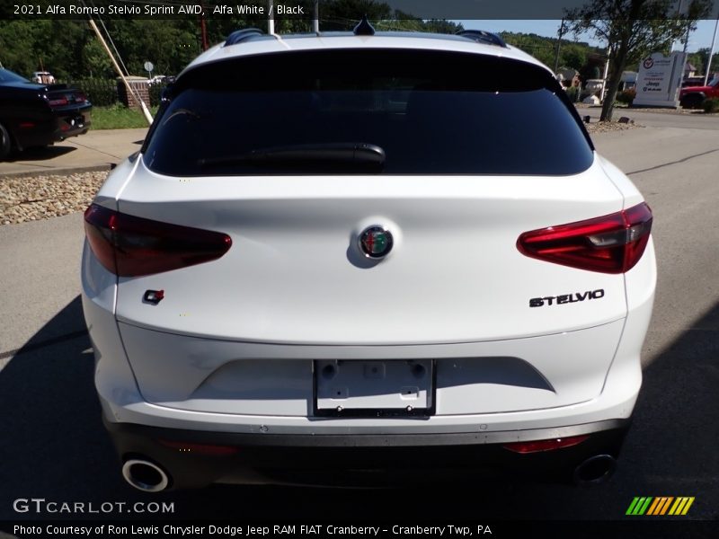 Alfa White / Black 2021 Alfa Romeo Stelvio Sprint AWD