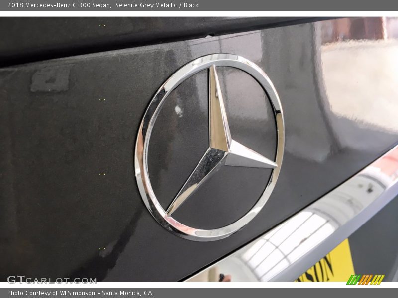 Selenite Grey Metallic / Black 2018 Mercedes-Benz C 300 Sedan