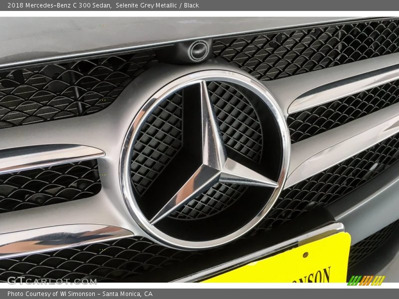 Selenite Grey Metallic / Black 2018 Mercedes-Benz C 300 Sedan