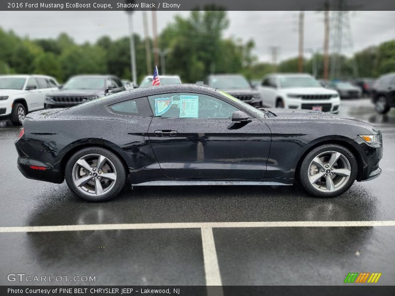  2016 Mustang EcoBoost Coupe Shadow Black