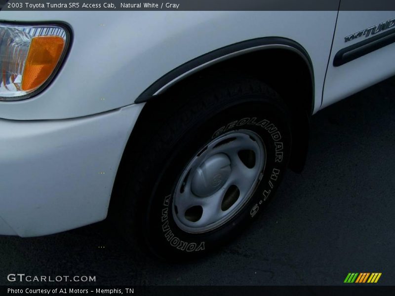 Natural White / Gray 2003 Toyota Tundra SR5 Access Cab