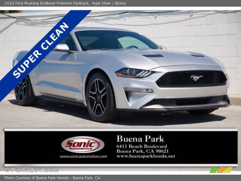 Ingot Silver / Ebony 2019 Ford Mustang EcoBoost Premium Fastback