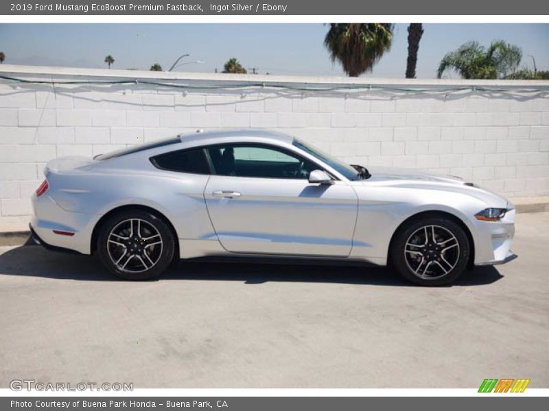 Ingot Silver / Ebony 2019 Ford Mustang EcoBoost Premium Fastback