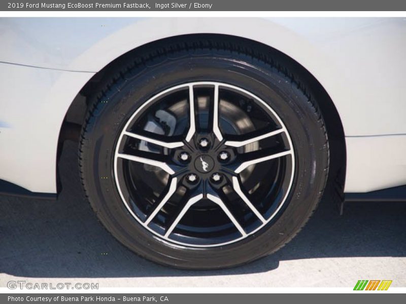 Ingot Silver / Ebony 2019 Ford Mustang EcoBoost Premium Fastback