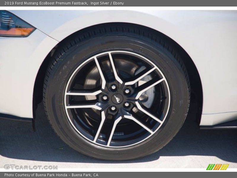 Ingot Silver / Ebony 2019 Ford Mustang EcoBoost Premium Fastback