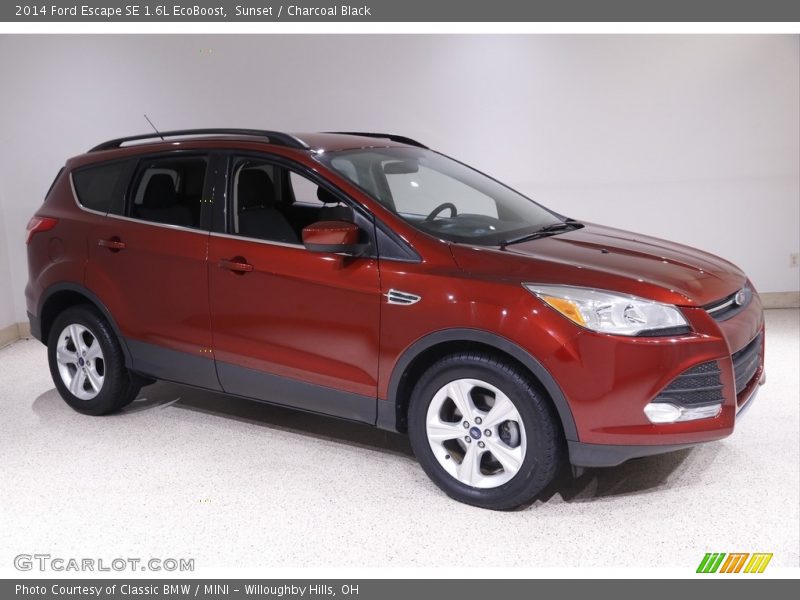 Sunset / Charcoal Black 2014 Ford Escape SE 1.6L EcoBoost