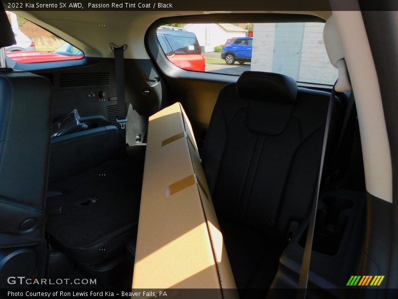 Passion Red Tint Coat / Black 2022 Kia Sorento SX AWD