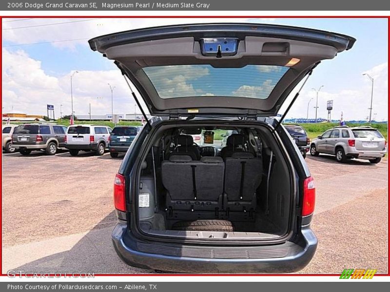 Magnesium Pearl / Medium Slate Gray 2006 Dodge Grand Caravan SE