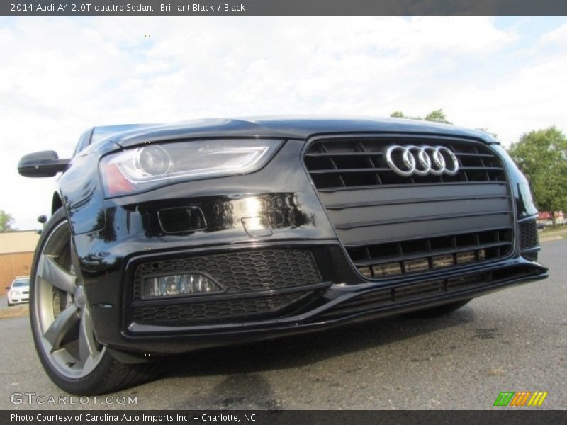 Brilliant Black / Black 2014 Audi A4 2.0T quattro Sedan