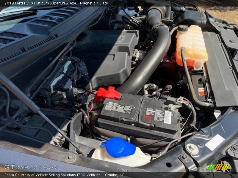 Magnetic / Black 2019 Ford F150 Platinum SuperCrew 4x4