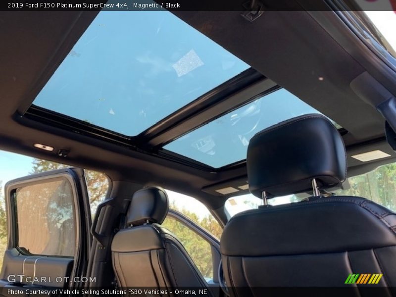 Magnetic / Black 2019 Ford F150 Platinum SuperCrew 4x4