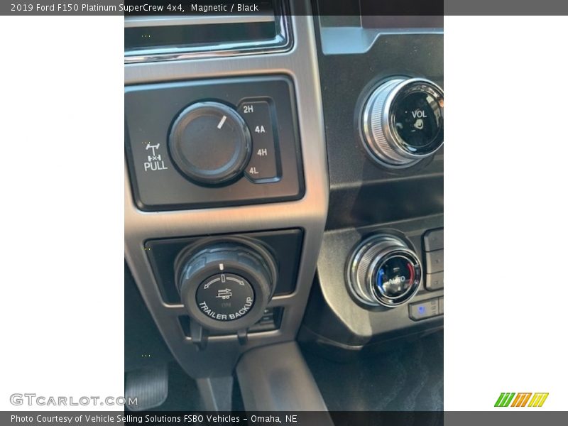 Magnetic / Black 2019 Ford F150 Platinum SuperCrew 4x4