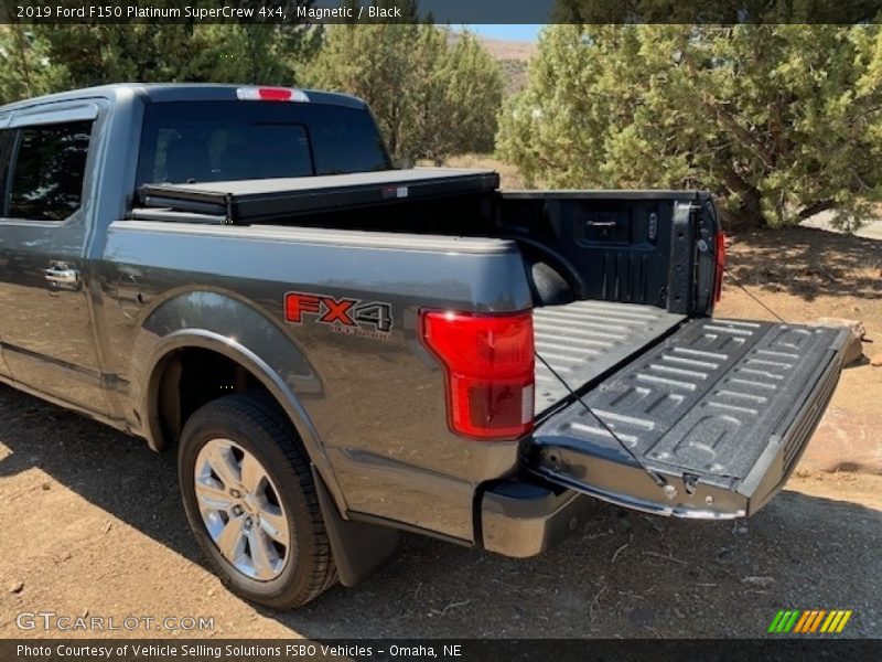 Magnetic / Black 2019 Ford F150 Platinum SuperCrew 4x4