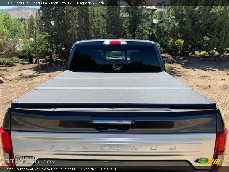 Magnetic / Black 2019 Ford F150 Platinum SuperCrew 4x4
