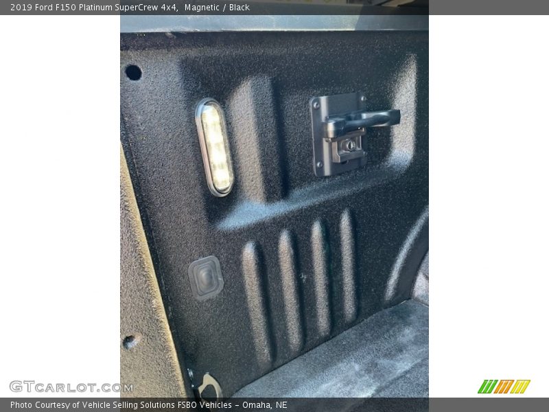 Magnetic / Black 2019 Ford F150 Platinum SuperCrew 4x4