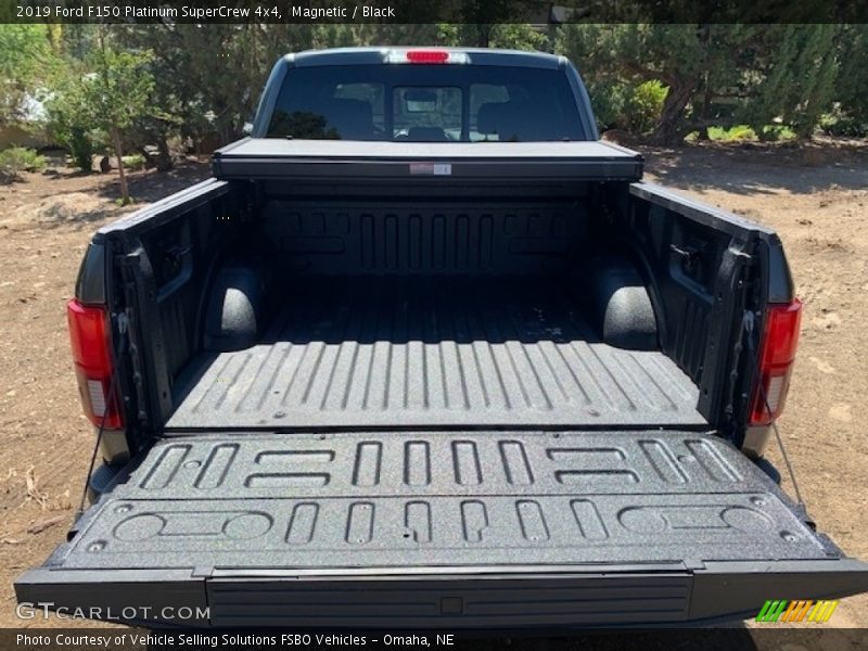 Magnetic / Black 2019 Ford F150 Platinum SuperCrew 4x4