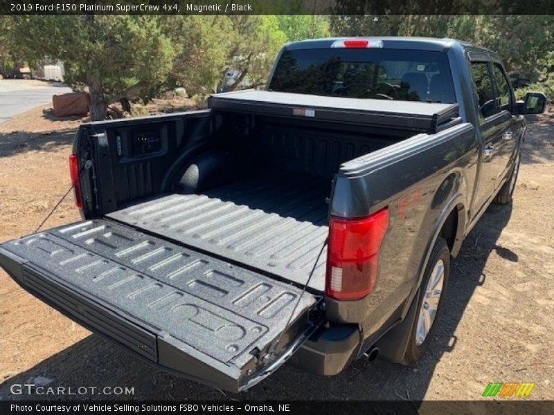 Magnetic / Black 2019 Ford F150 Platinum SuperCrew 4x4