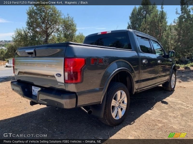 Magnetic / Black 2019 Ford F150 Platinum SuperCrew 4x4