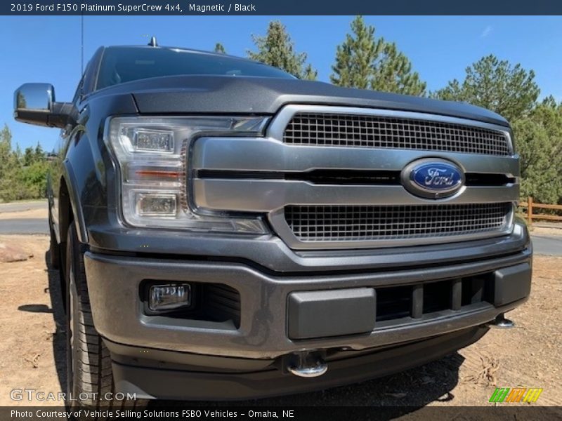 Magnetic / Black 2019 Ford F150 Platinum SuperCrew 4x4