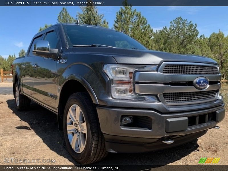 Magnetic / Black 2019 Ford F150 Platinum SuperCrew 4x4