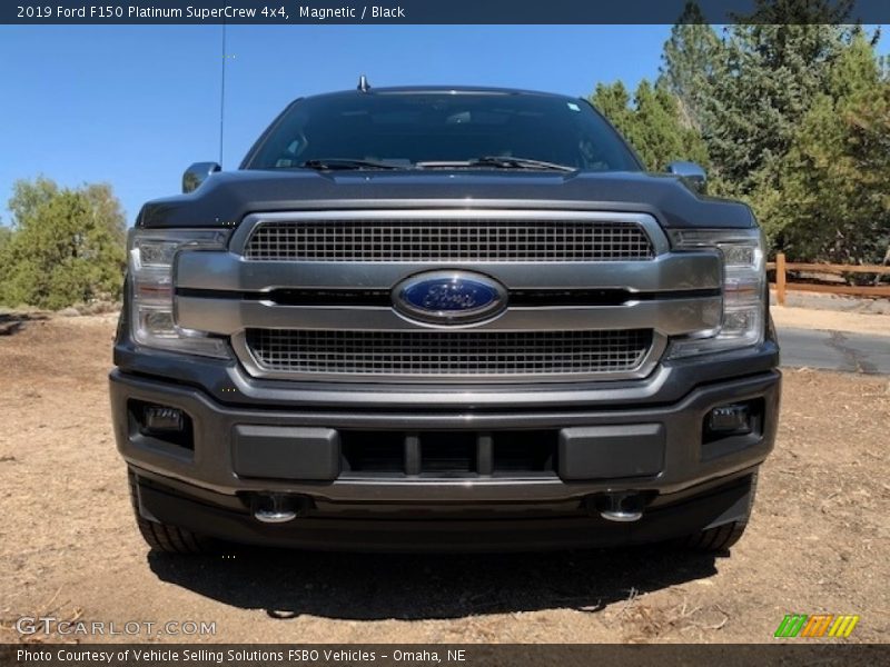 Magnetic / Black 2019 Ford F150 Platinum SuperCrew 4x4