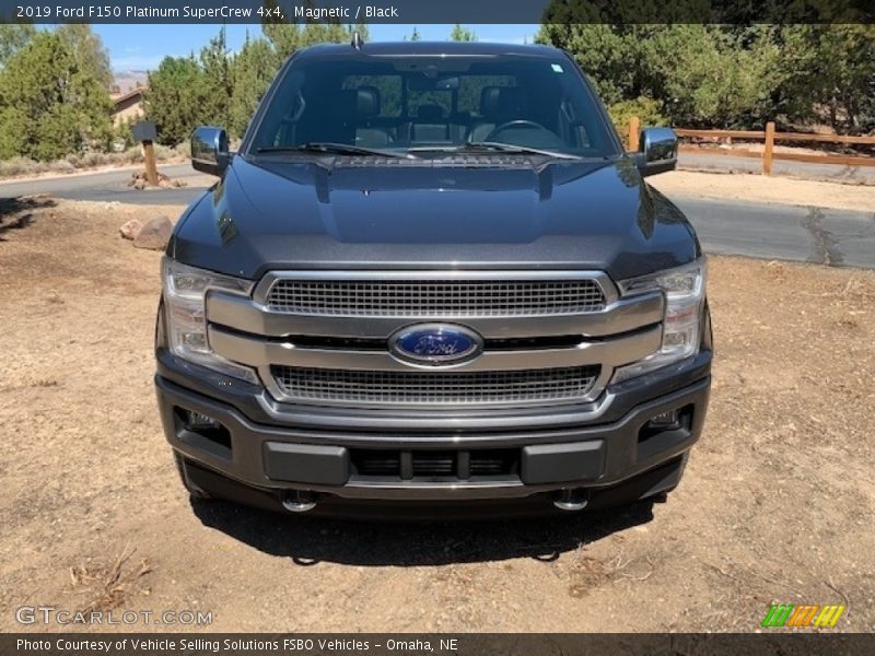 Magnetic / Black 2019 Ford F150 Platinum SuperCrew 4x4