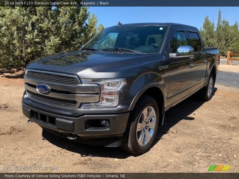 Magnetic / Black 2019 Ford F150 Platinum SuperCrew 4x4