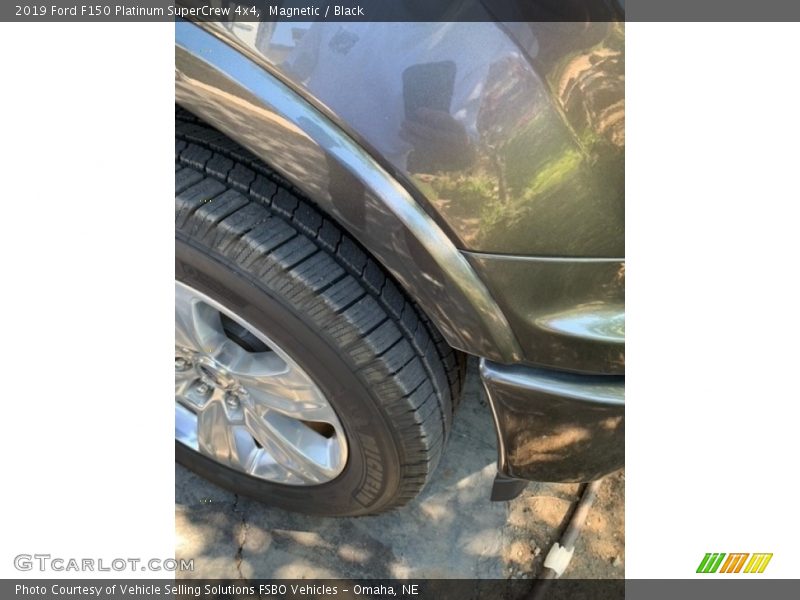 Magnetic / Black 2019 Ford F150 Platinum SuperCrew 4x4
