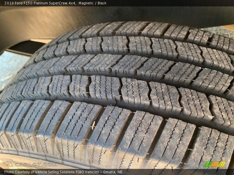 Magnetic / Black 2019 Ford F150 Platinum SuperCrew 4x4