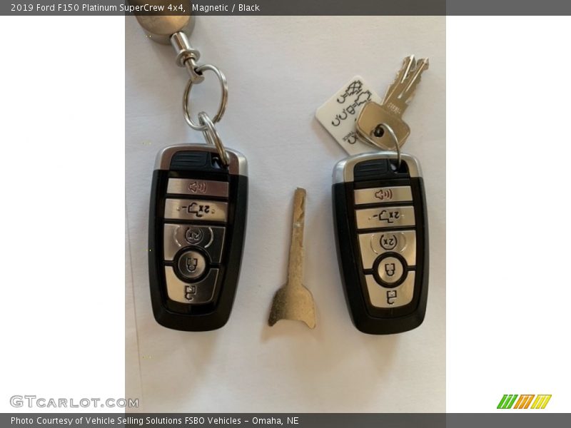 Magnetic / Black 2019 Ford F150 Platinum SuperCrew 4x4