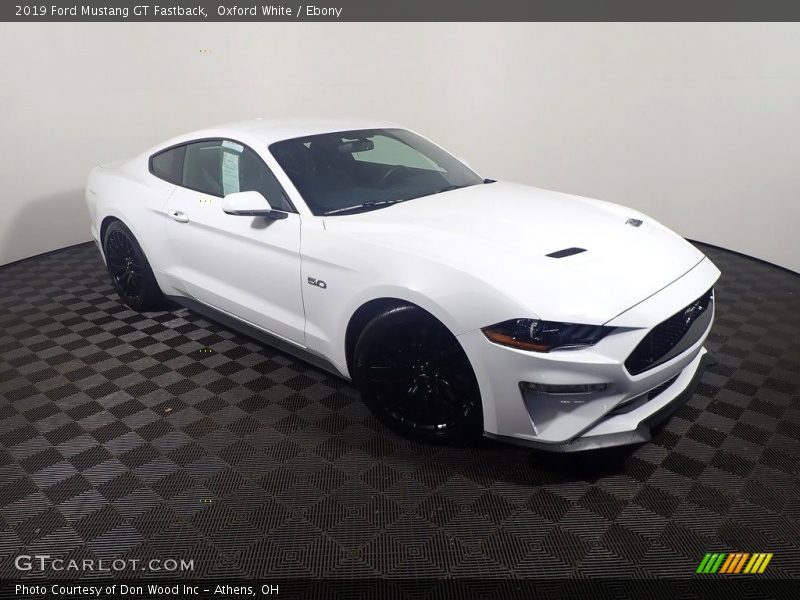 Oxford White / Ebony 2019 Ford Mustang GT Fastback
