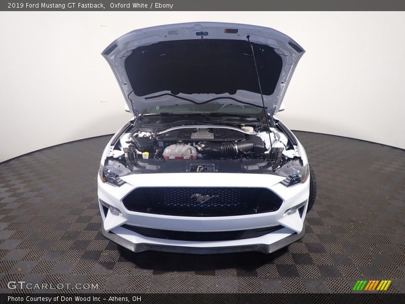 Oxford White / Ebony 2019 Ford Mustang GT Fastback