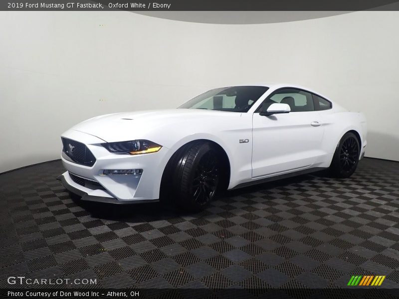 Oxford White / Ebony 2019 Ford Mustang GT Fastback