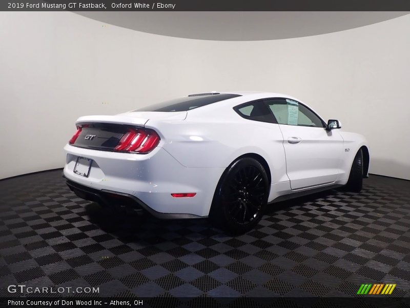 Oxford White / Ebony 2019 Ford Mustang GT Fastback