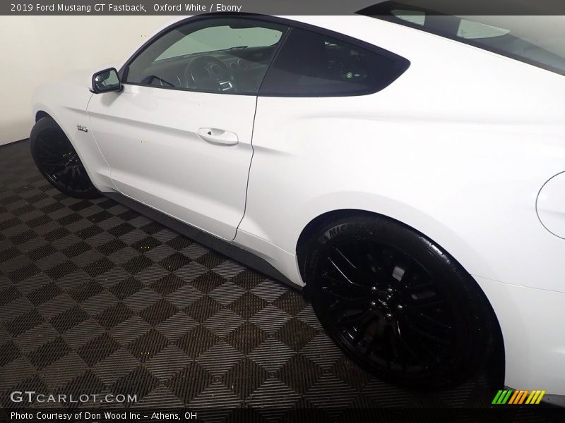 Oxford White / Ebony 2019 Ford Mustang GT Fastback