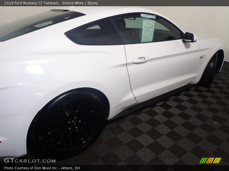 Oxford White / Ebony 2019 Ford Mustang GT Fastback