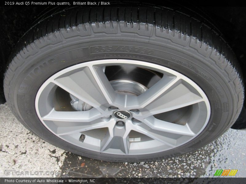 Brilliant Black / Black 2019 Audi Q5 Premium Plus quattro