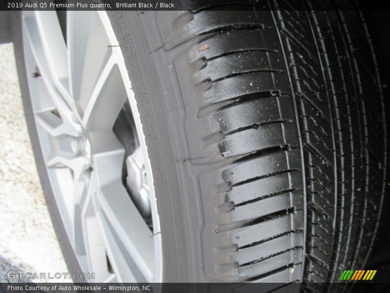 Brilliant Black / Black 2019 Audi Q5 Premium Plus quattro