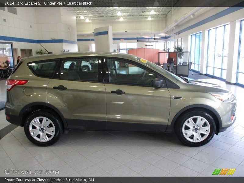 Ginger Ale / Charcoal Black 2014 Ford Escape S