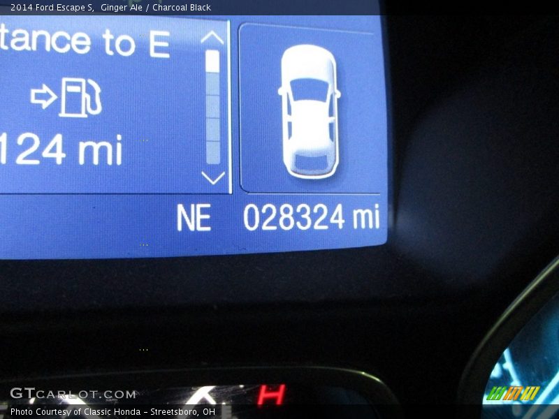 Ginger Ale / Charcoal Black 2014 Ford Escape S