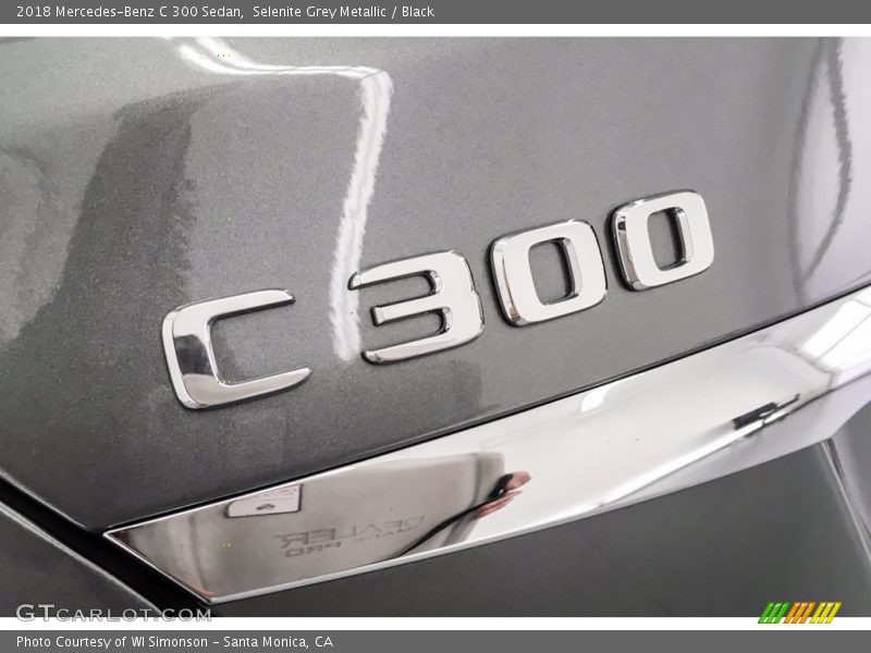 Selenite Grey Metallic / Black 2018 Mercedes-Benz C 300 Sedan
