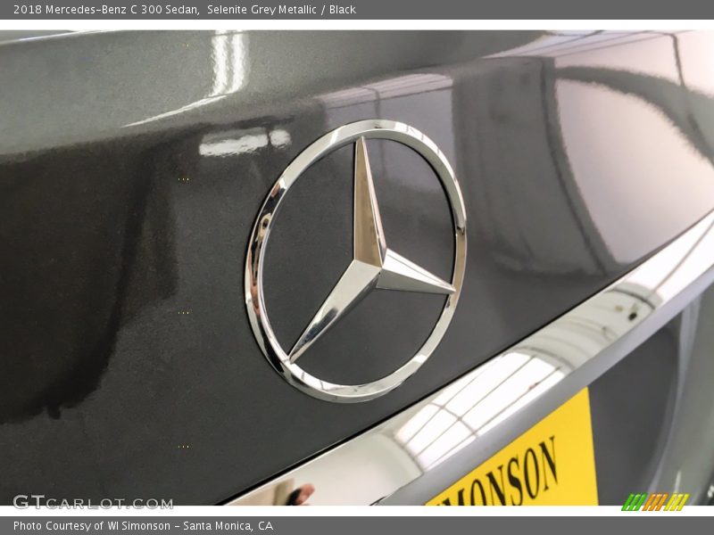 Selenite Grey Metallic / Black 2018 Mercedes-Benz C 300 Sedan